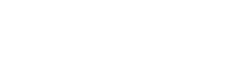 Newsie logo